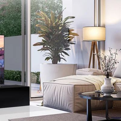 TV and living room display